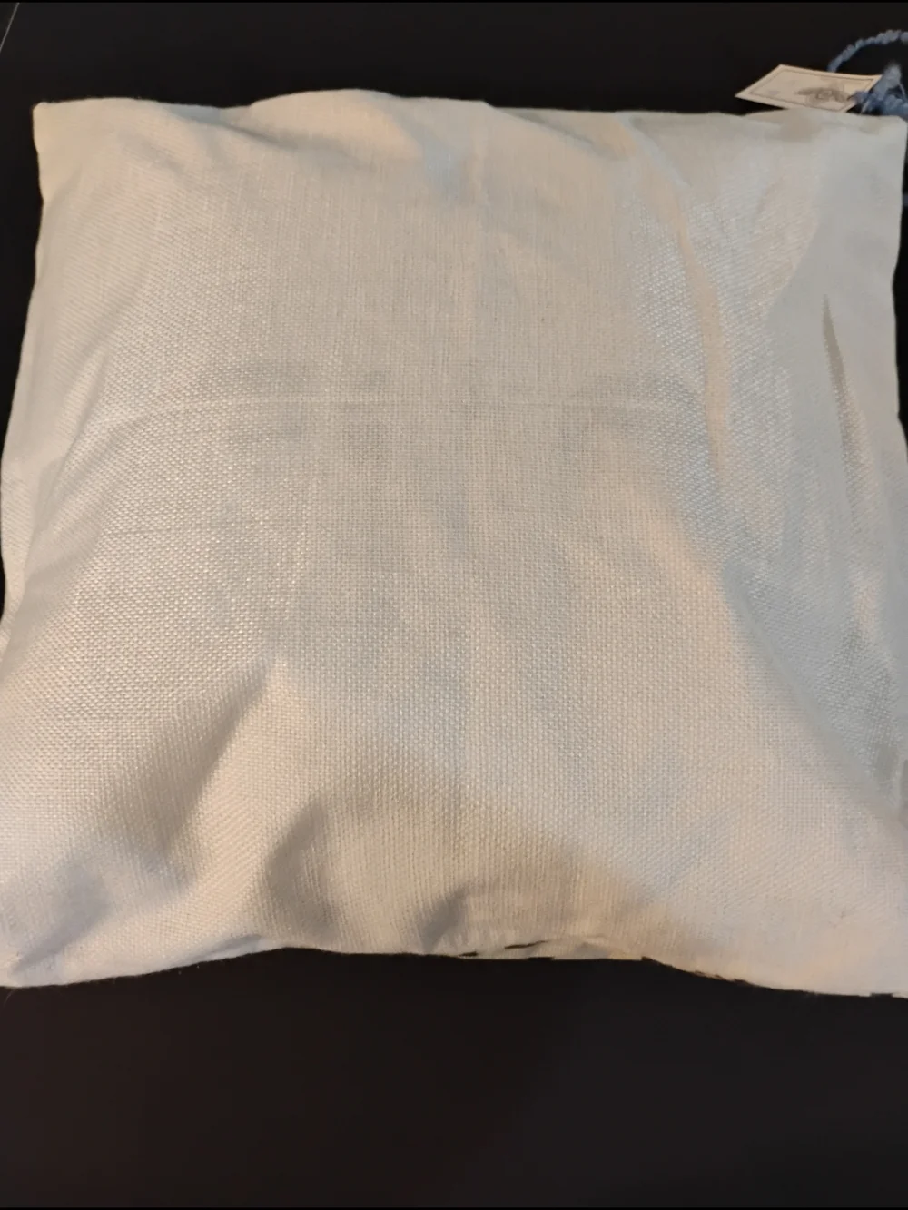 Halloween Word-Print Accent Pillow in Black and White
